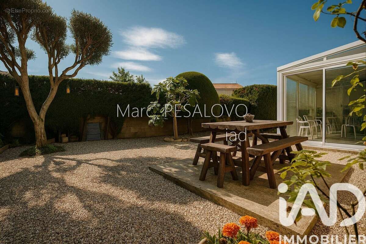 Photo 5 - Maison à TOULOUGES