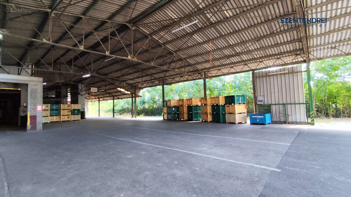 Commerce à PONT-SAINT-ESPRIT