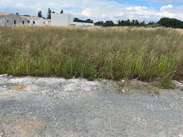 Terrain à DOMPIERRE-SUR-MER