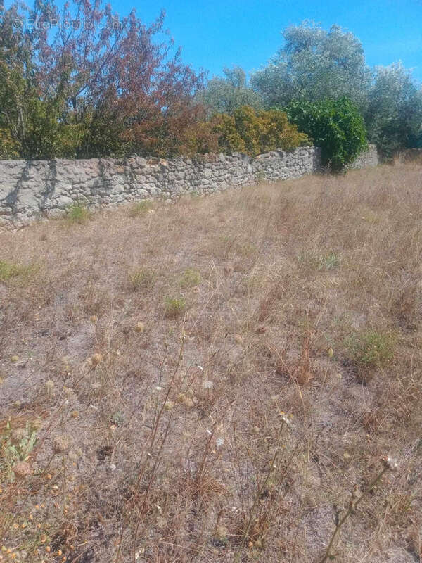 Terrain à MEZE