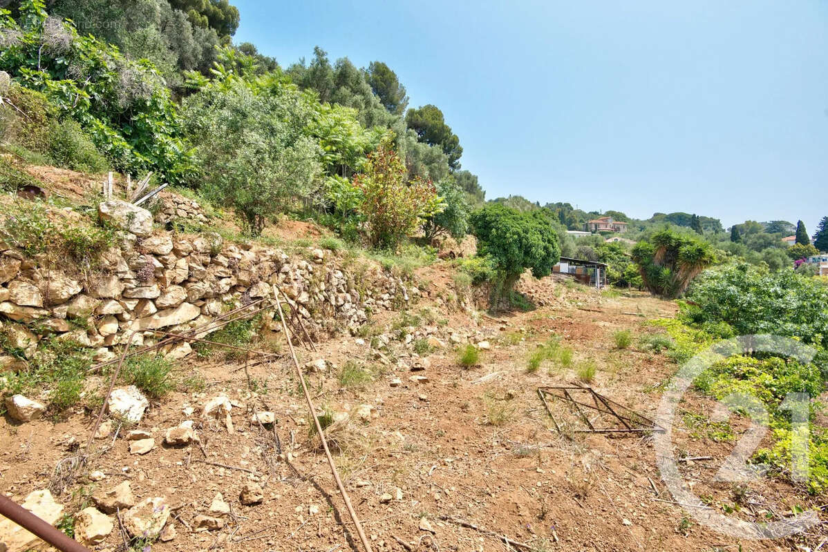 Terrain à NICE