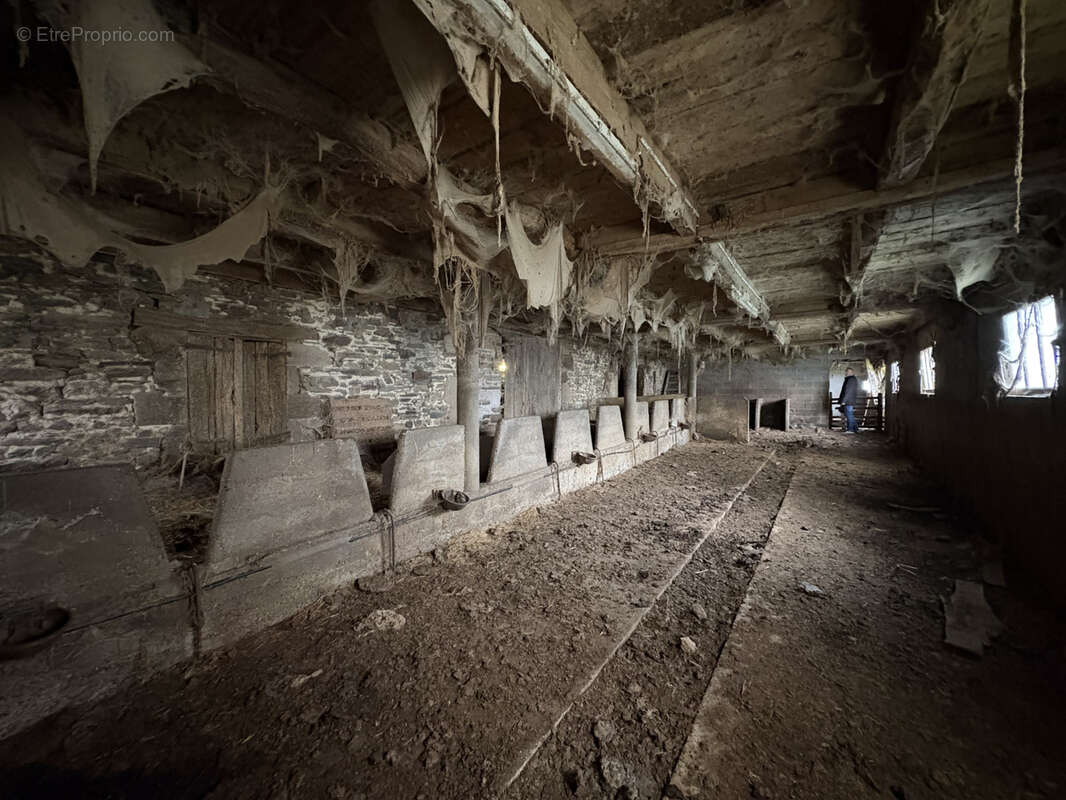 Maison à SAINTE-FEREOLE