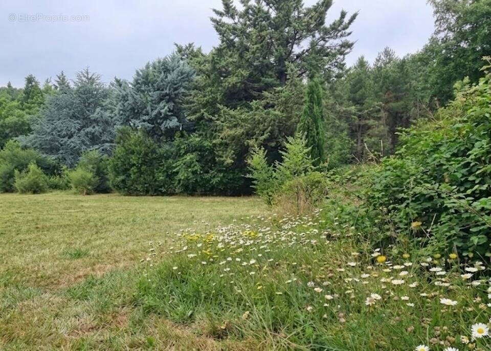 Terrain à LA BEGUDE-DE-MAZENC