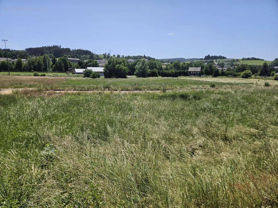 Terrain à TENCE