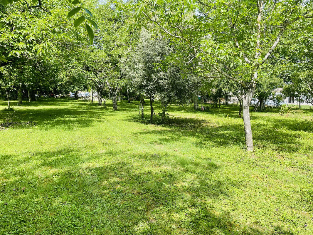 Terrain à TERRASSON-LAVILLEDIEU