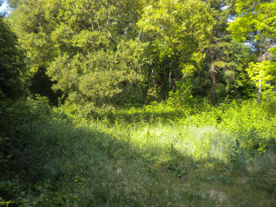 Terrain à MONDRAGON