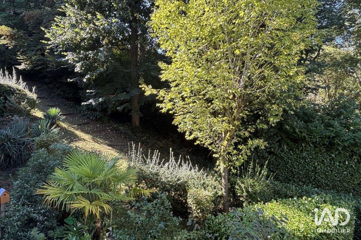 Photo 7 - Appartement à SEVRES
