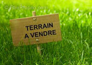 Terrain à BRAY-EN-VAL