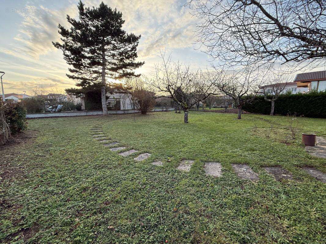 Terrain à L&#039;ARBRESLE