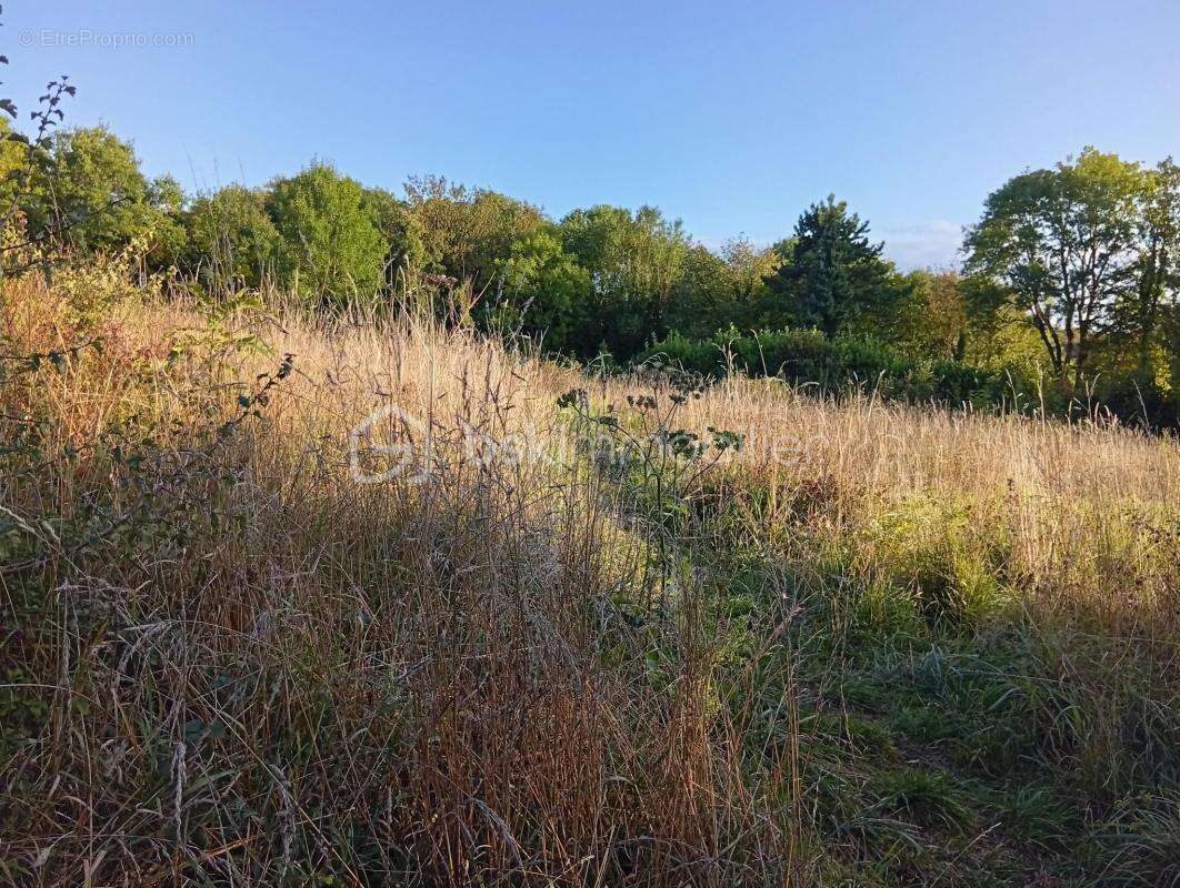 Terrain à SAINTE-GENEVIEVE