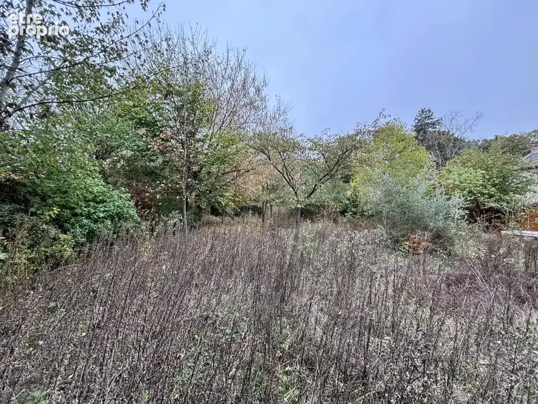 Vente Terrain Presles-et-thierny(02860) 55 000ï¿œ - photo 6