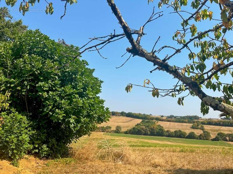 Maison à MONTESQUIOU
