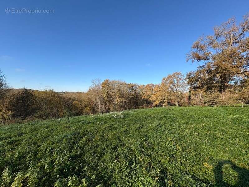 Maison à AIRE-SUR-L&#039;ADOUR
