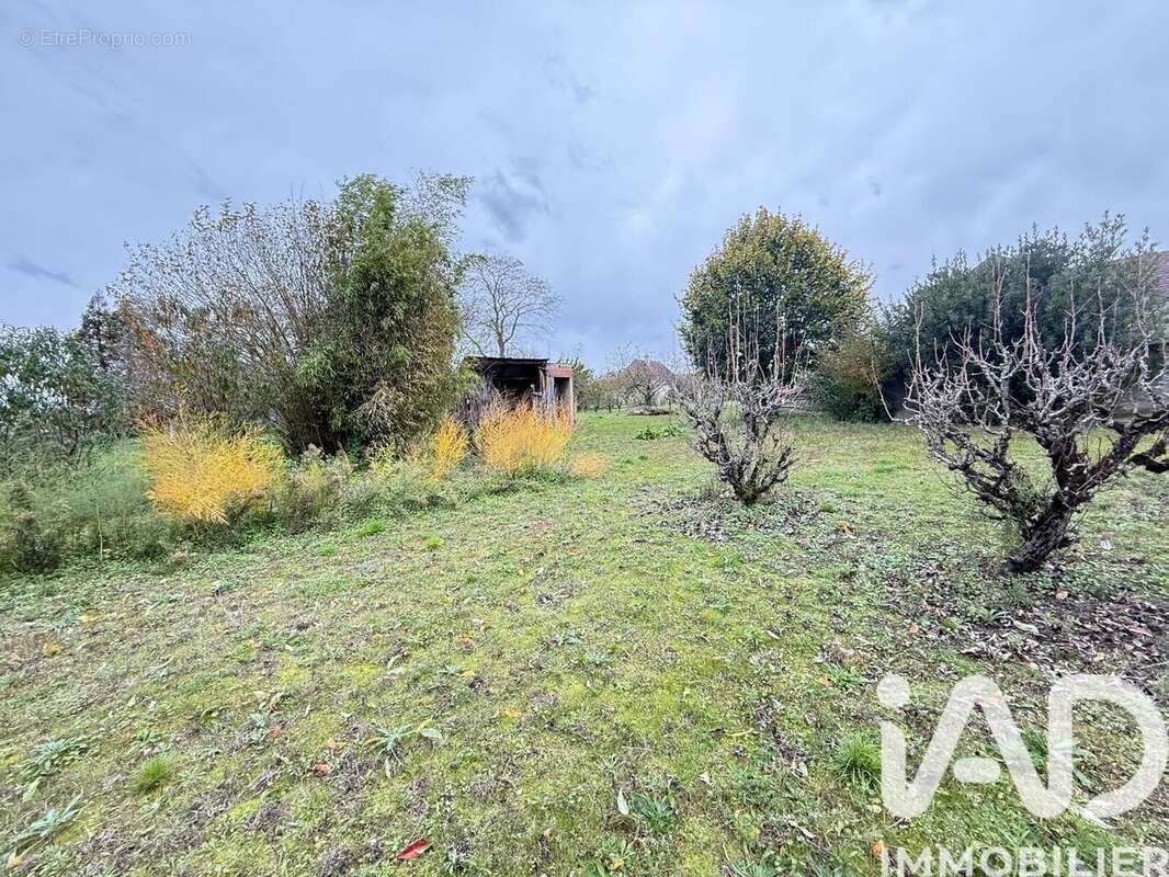 Photo 3 - Maison à NEUILLY-EN-DONJON
