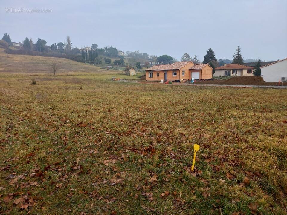 Terrain à RABASTENS
