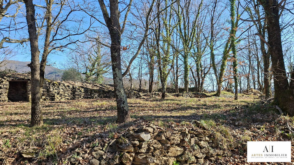 Terrain à COUX