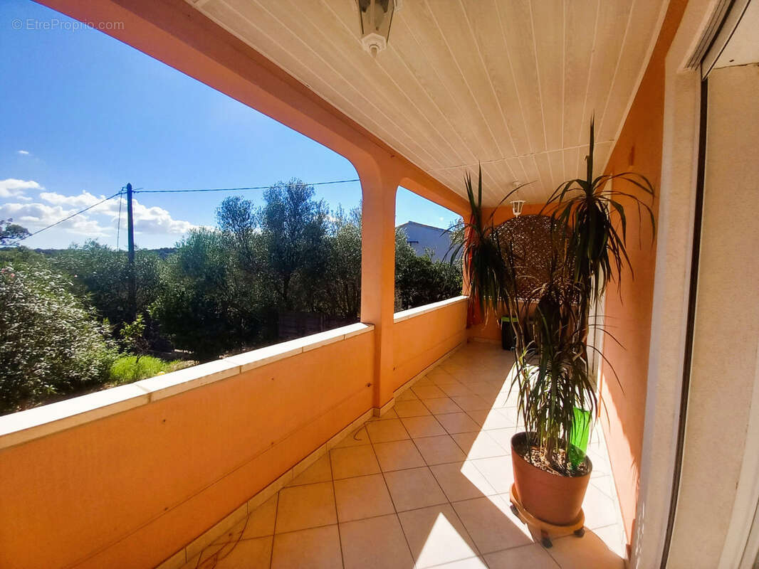 Maison à PORTO-VECCHIO