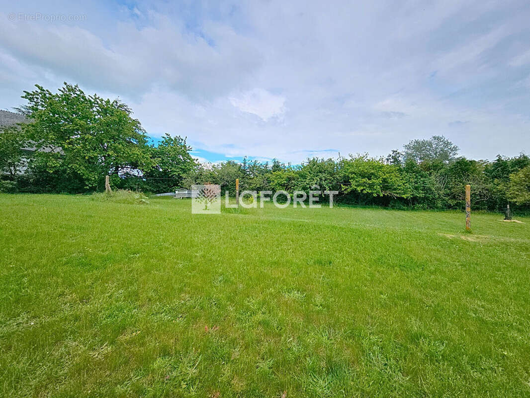 Terrain à TAUPONT