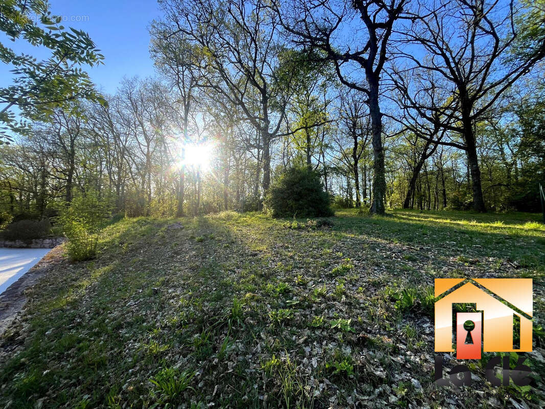 Maison à CASTELCULIER