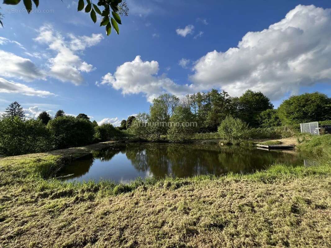 Terrain à MONTSAUCHE-LES-SETTONS