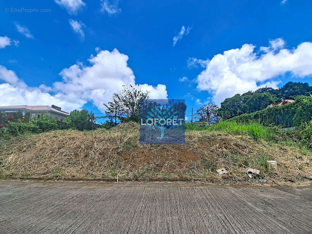 Terrain à LE LAMENTIN