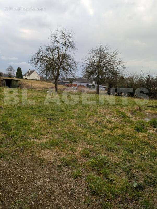 PXL_20250310_123730603 - Maison à SAINT-SAENS