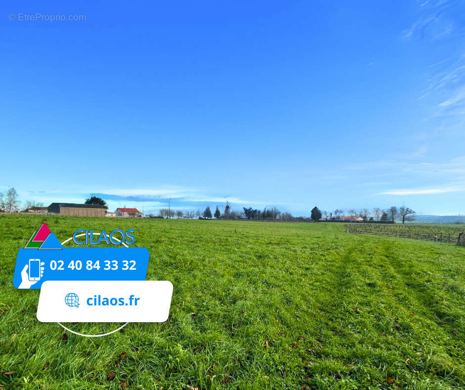 Terrain à LA CHAPELLE-SAINT-FLORENT