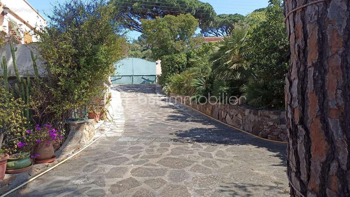 Maison à ROQUEBRUNE-SUR-ARGENS