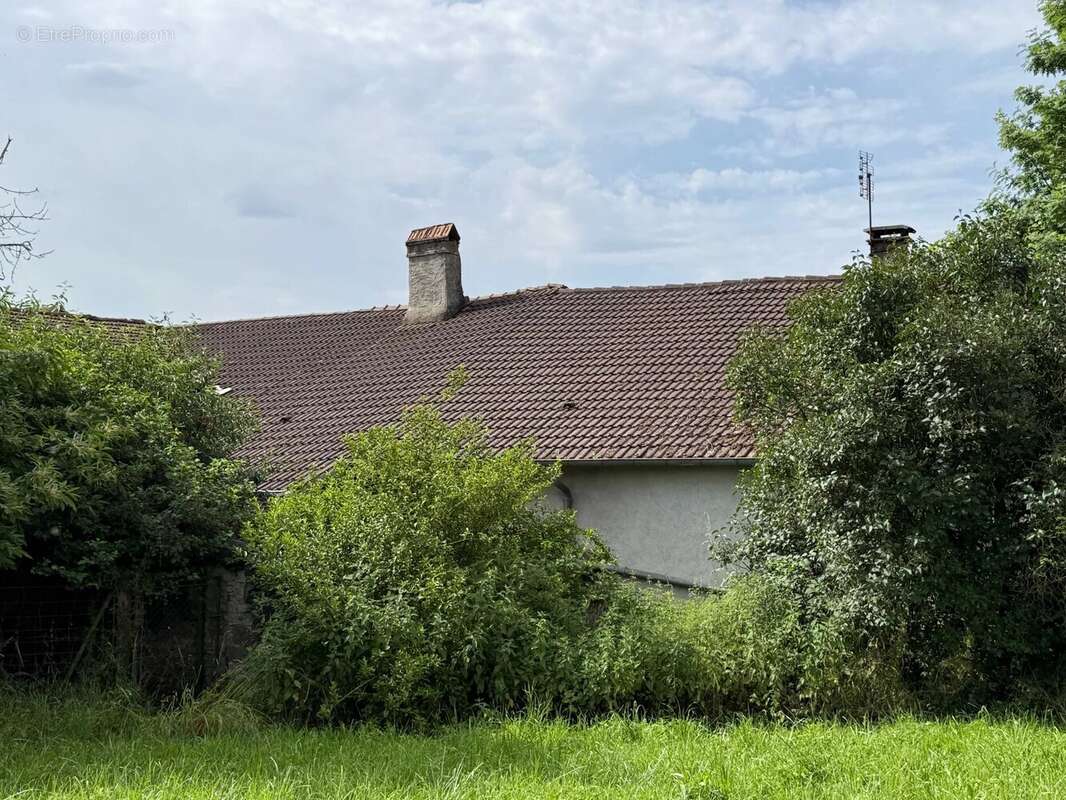 Grande ferme villageoise double indépendante à rénover – deux maisons, nombreuses dépendances, presque 1 hectare - photo 35