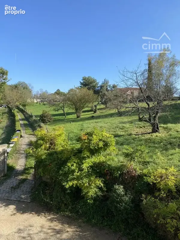 Rare propriété 240m², cave 110m², terrain 16000m² - photo 5