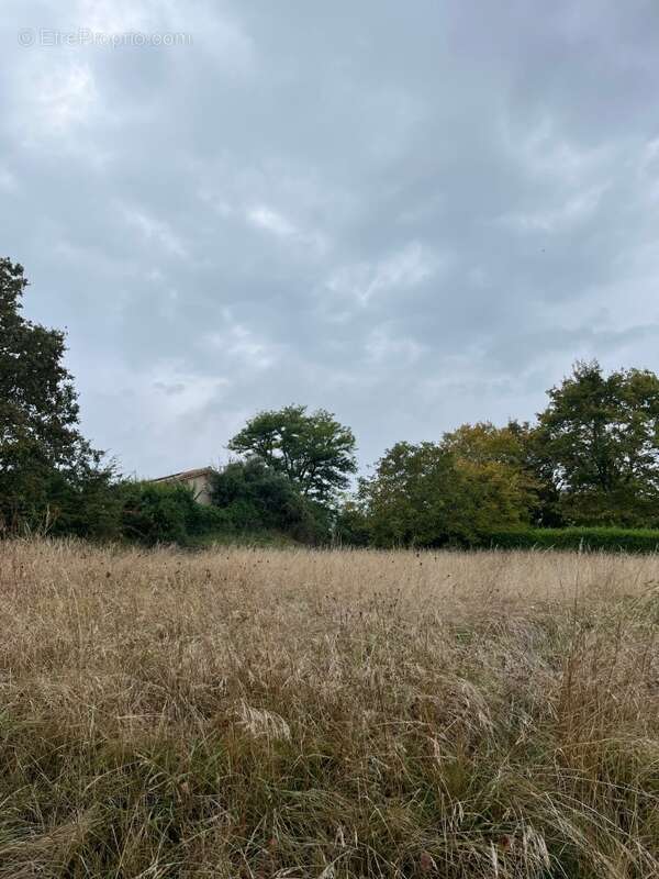 Terrain à CASTELNAU-DE-MONTMIRAL