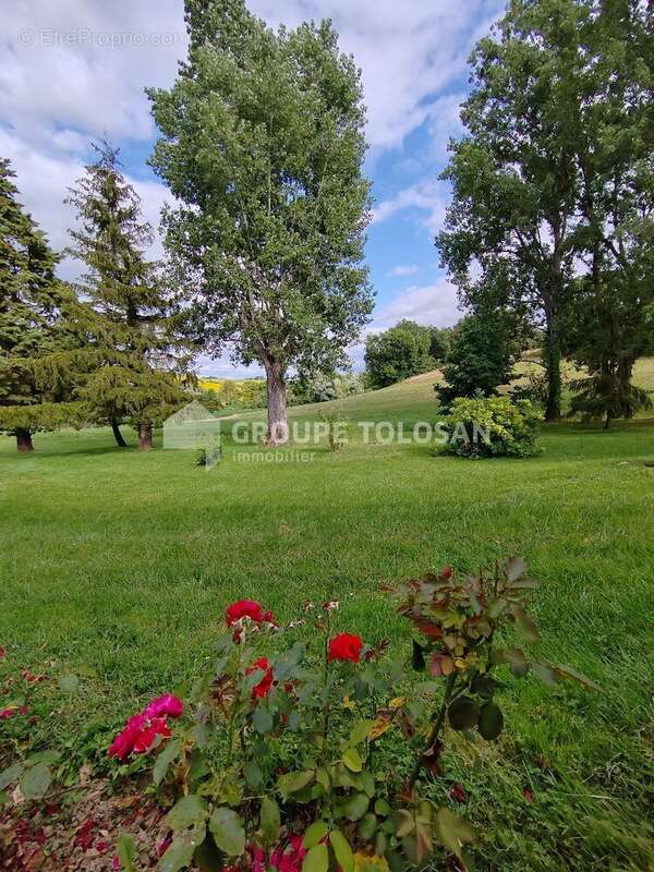 Maison 208 m² à Caraman  - photo 13