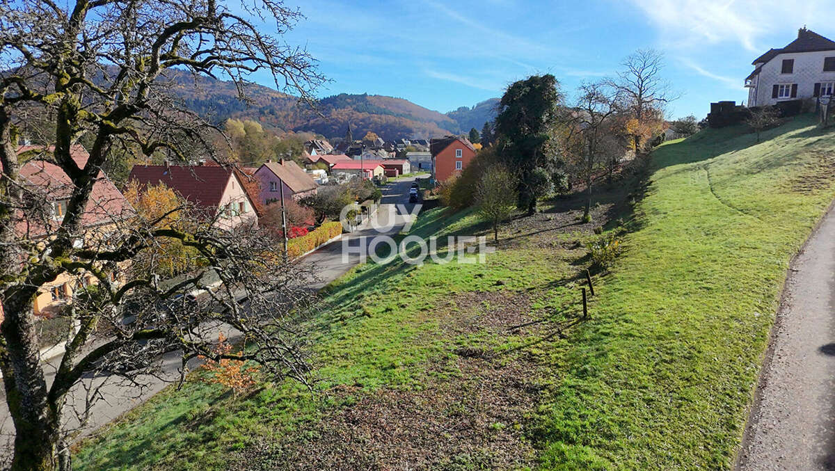 À vendre belle parcelle de 21,63 ares sur les hauteurs de Masevaux - photo 4