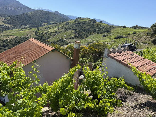 Terrain à COLLIOURE