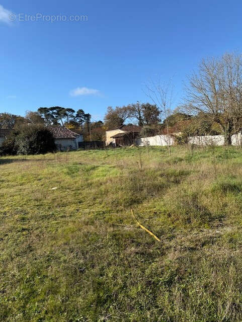 Terrain à SAINT-SYMPHORIEN
