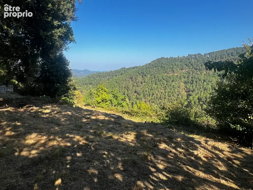 Maison en Pierre avec magnifique vue sur les cévennes - photo 12