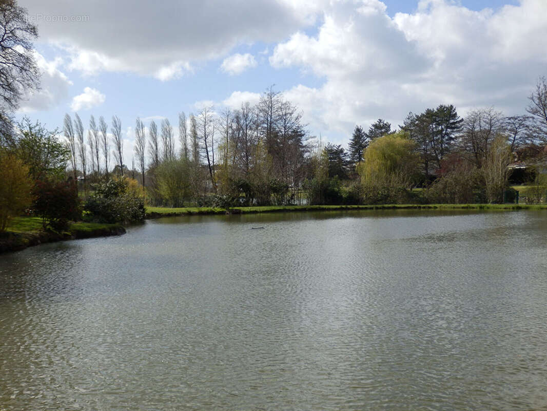 Maison à SAINT-BERTHEVIN