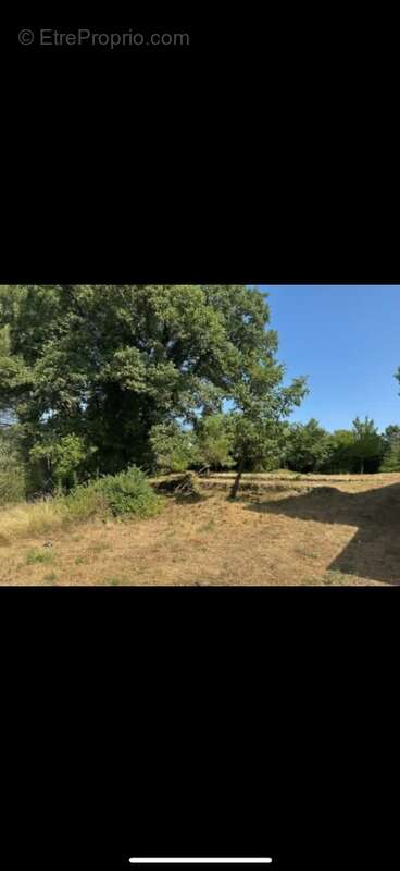 Terrain à MONTAUROUX