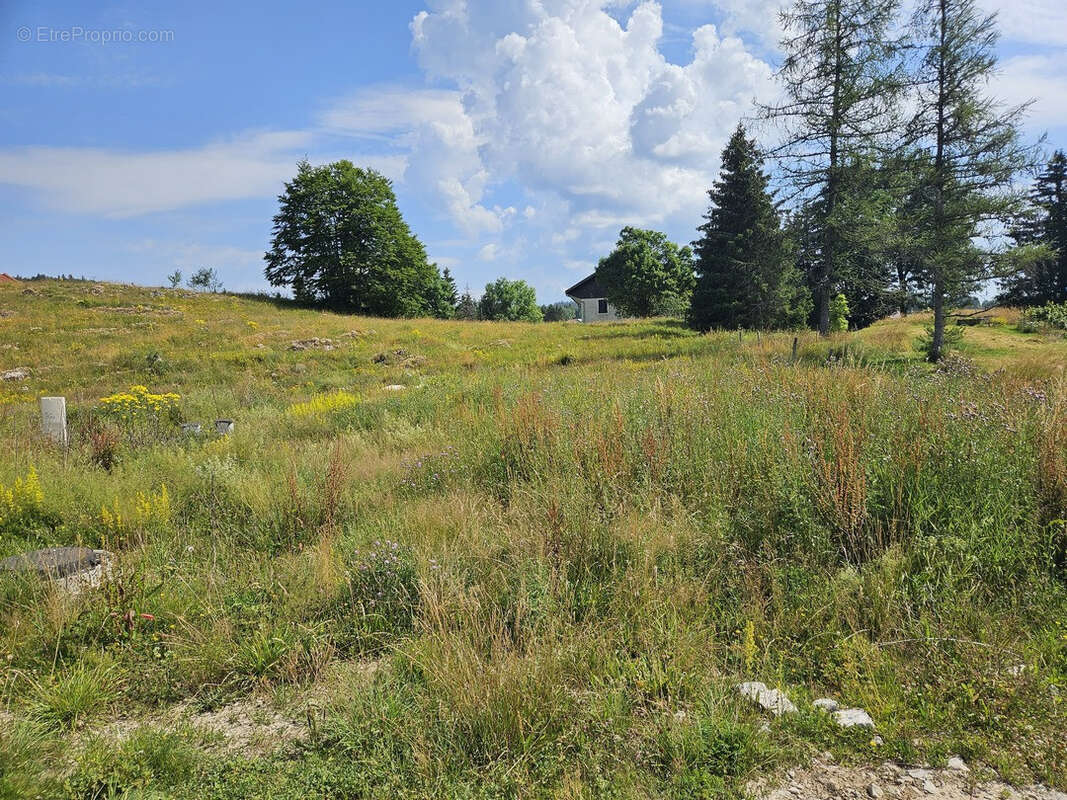 Terrain à LAJOUX