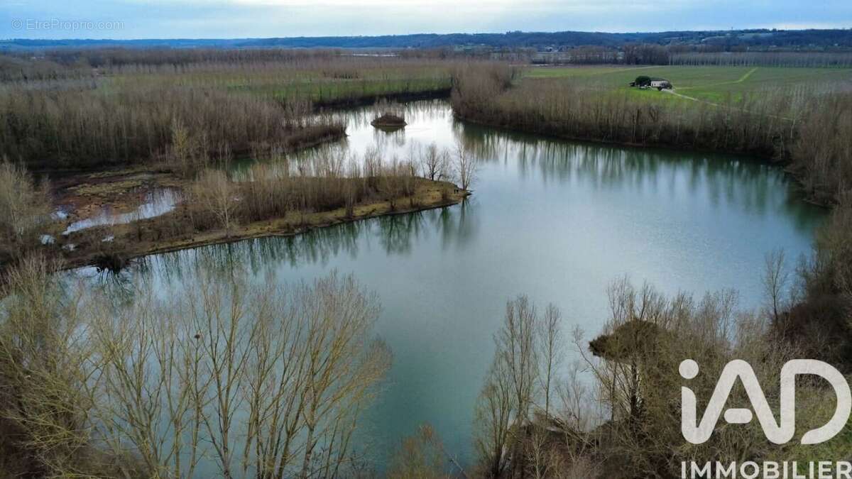 Terrain 125000 m² à Castelferrus  - photo 3