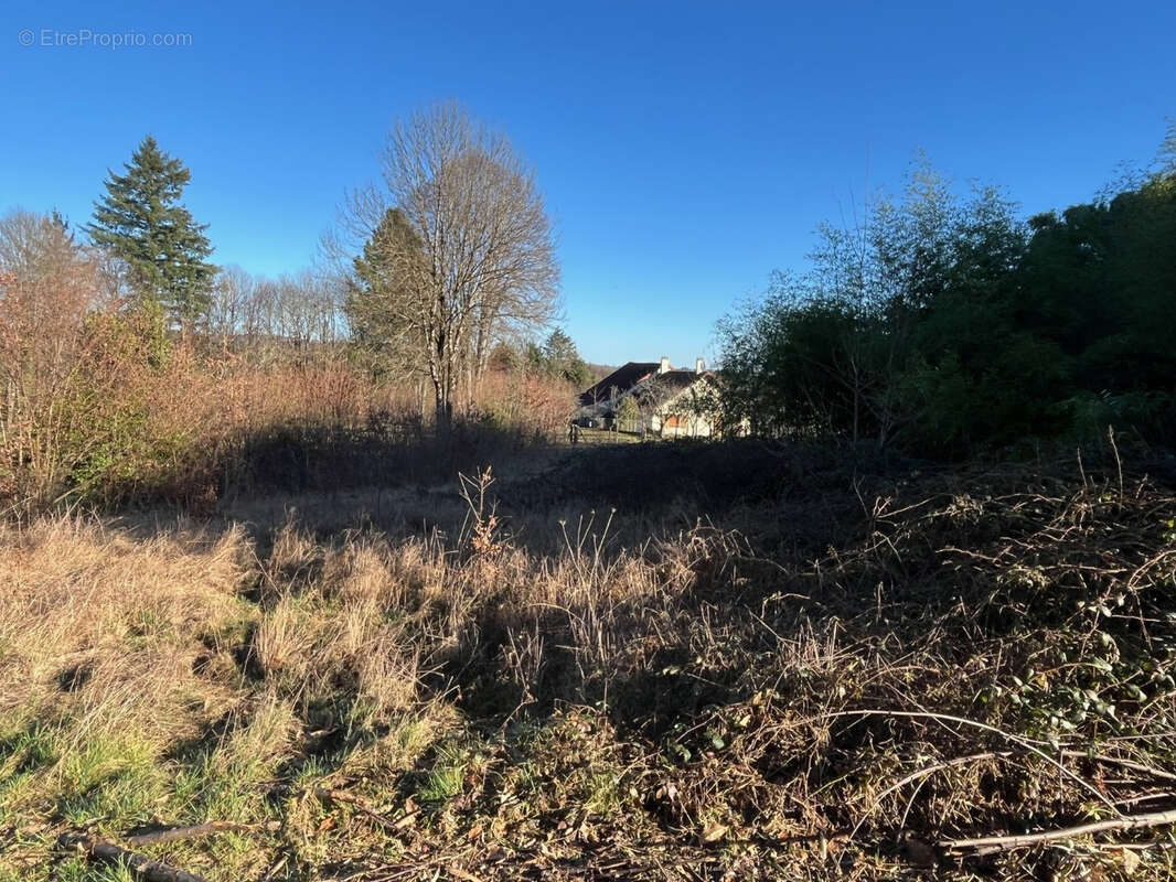 Terrain à LADIGNAC-LE-LONG