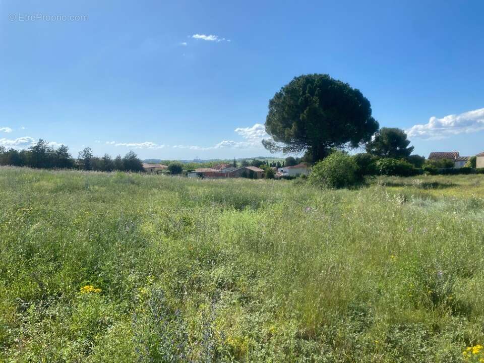 Terrain 415 m² à Saint-Chinian  - photo 2