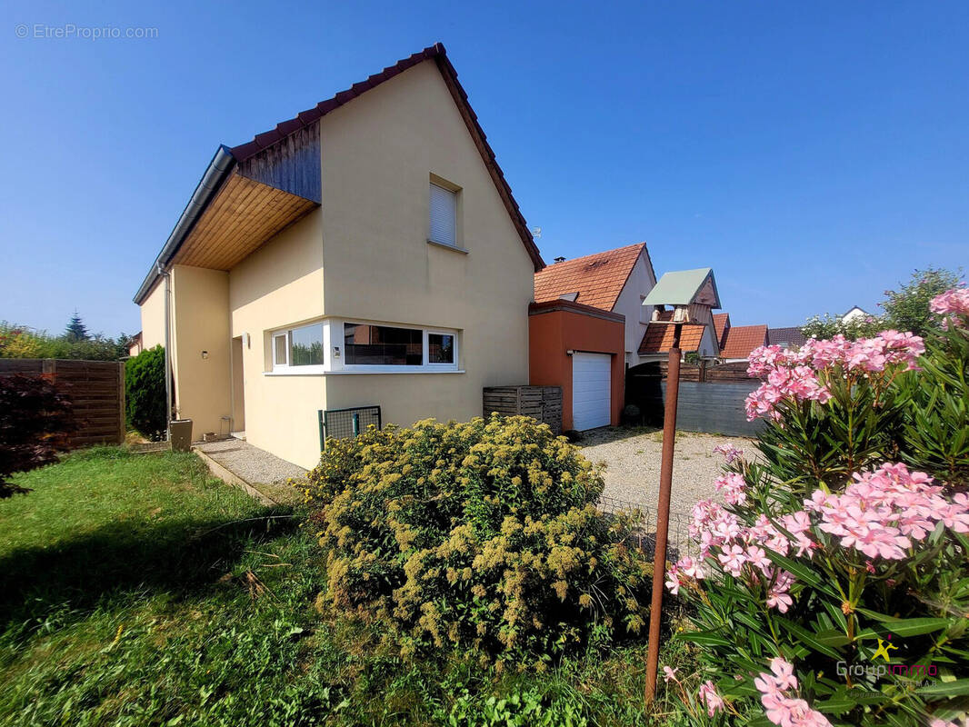 Maison à NIEDERENTZEN