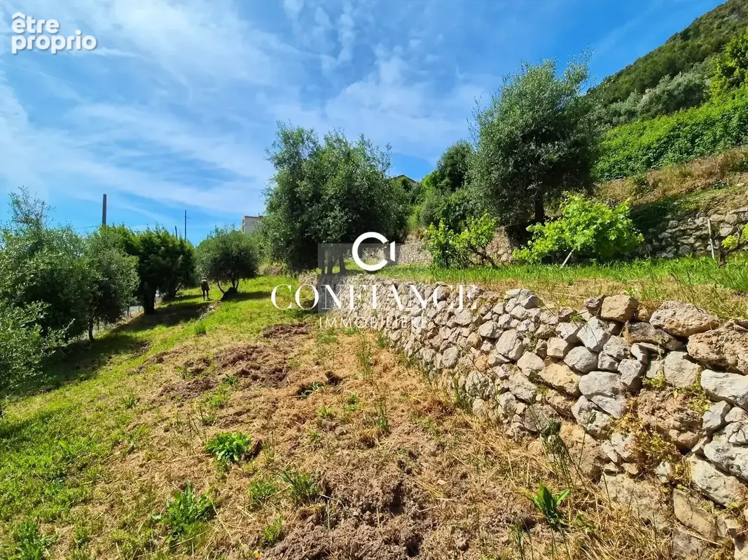 Terrain 1 715 m² à vendre à Chateauneuf-Villevieille (06390) - photo 8