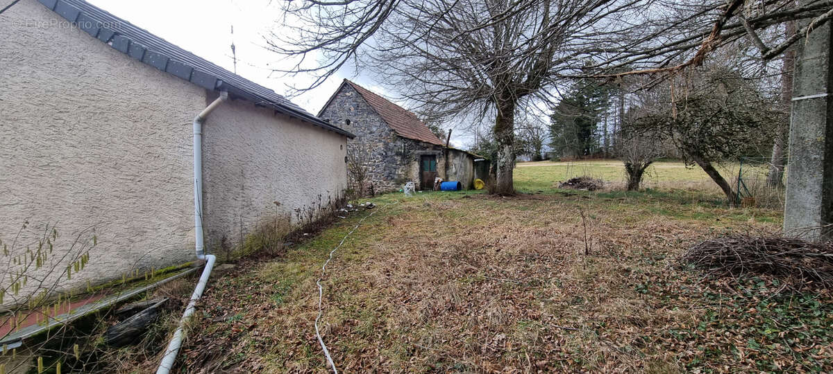 Nouveauté en exclusivité ! - photo 5