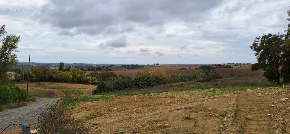 Terrain à SAINTE-LIVRADE