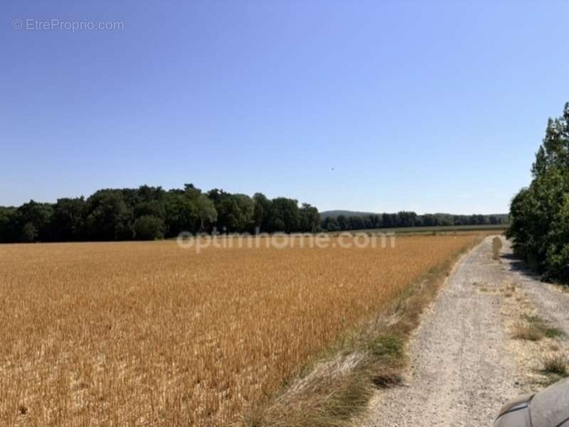 MERIEL 95 - 980m² de terrain plat devant réserve naturelle avec permis - photo 2
