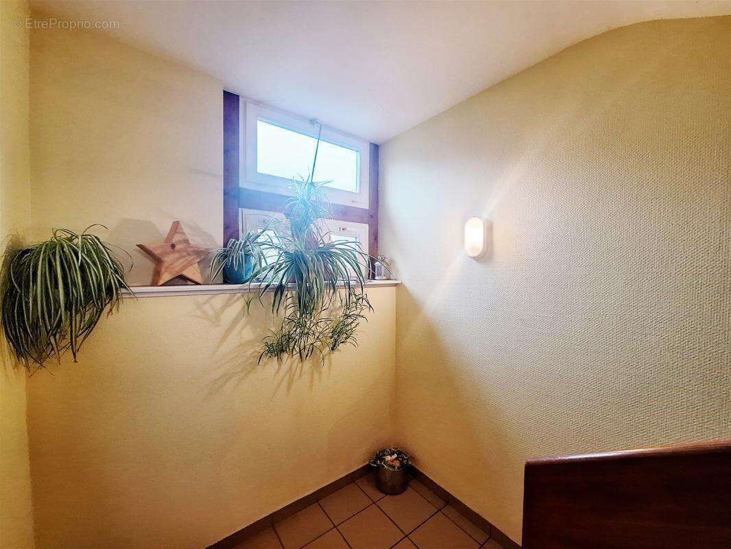 Appartement à BISCHHEIM