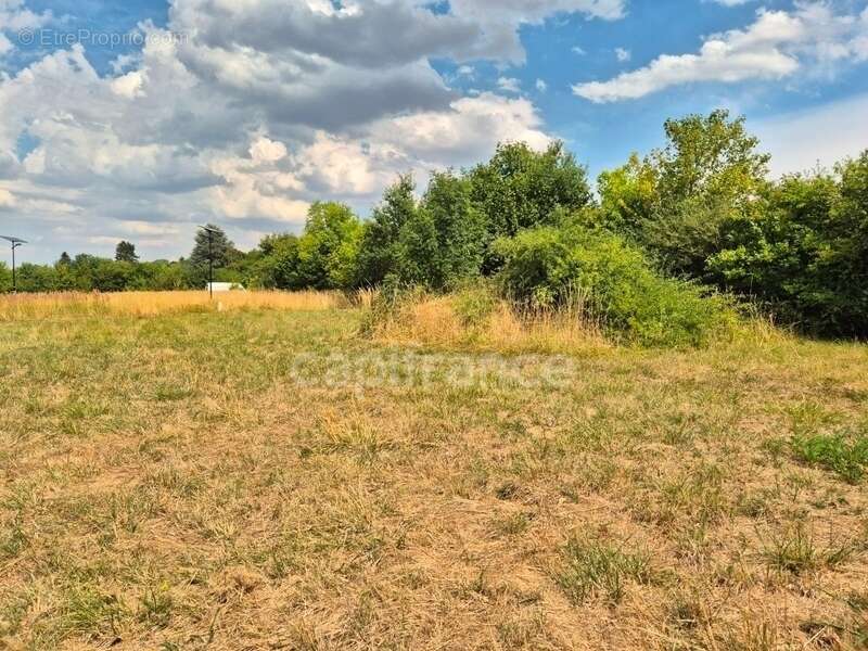 Terrain à bâtir viabilisé 553,00 m² - Libre Constructeur - photo 8