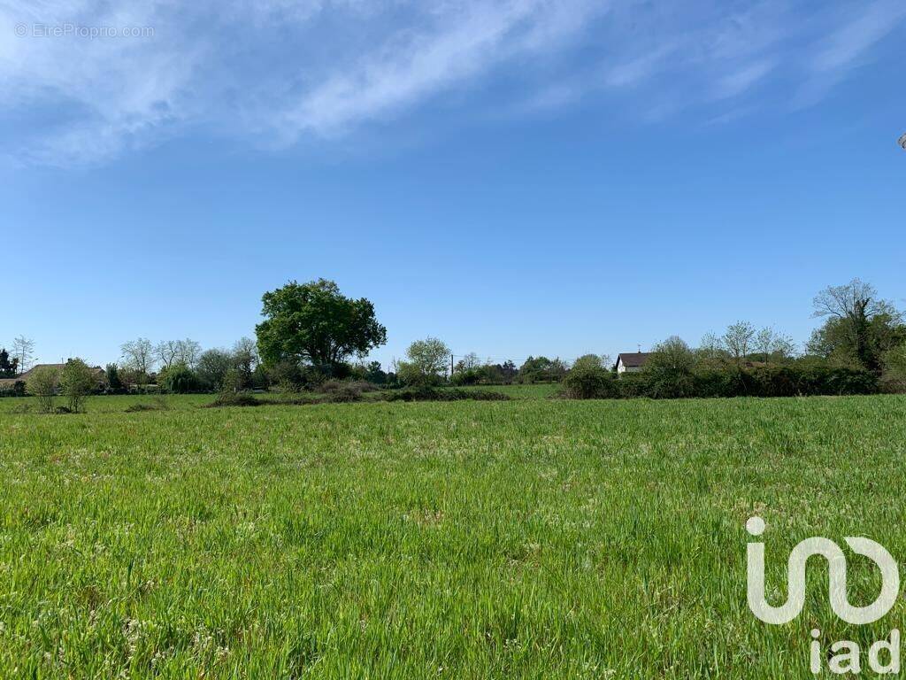 Photo 1 - Terrain à HINX